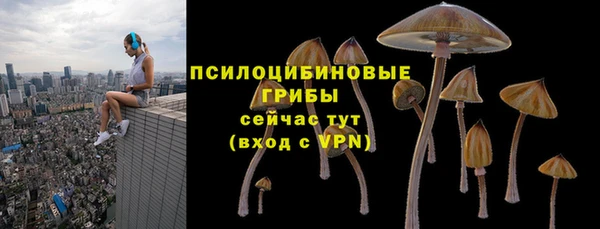 не бодяженный Касимов