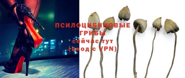 не бодяженный Касимов