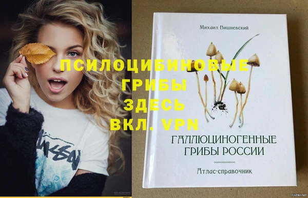 mdpv Карпинск