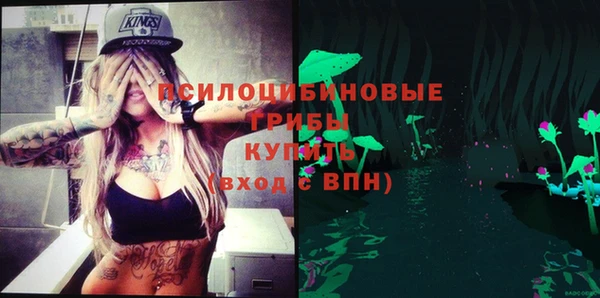 mdpv Карпинск