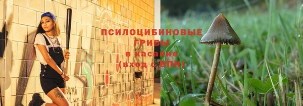 mdpv Карпинск
